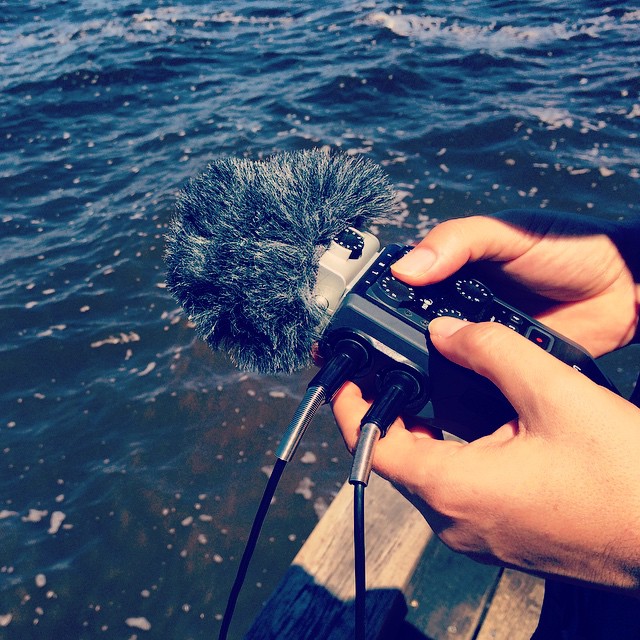 Hydrophone recording in the Noosa Biosphere Reserve